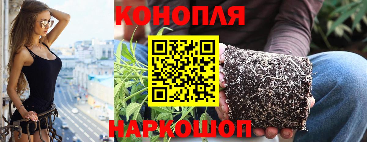Каннабис марихуана Благовещенск